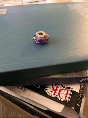 Chamilia Purple Faceted Murano Glass European Bead